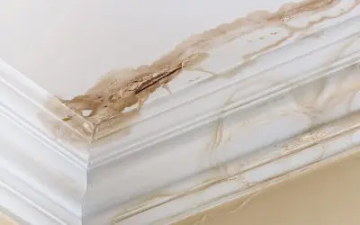 5 Causes of Water Damage in the Home