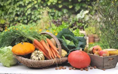 8 Flowers and Vegetables You Can Plant in the Fall
