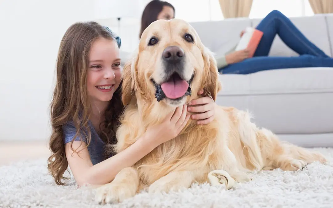 Cleaning Tips Every Pet Owner Needs to Know