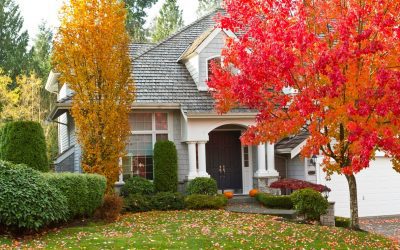 4 Ways to Transition Your Lawn to Fall