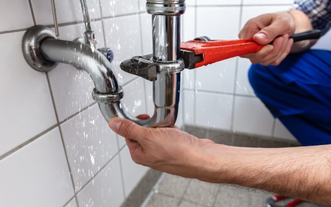 Fundamental Plumbing Maintenance for Every Homeowner