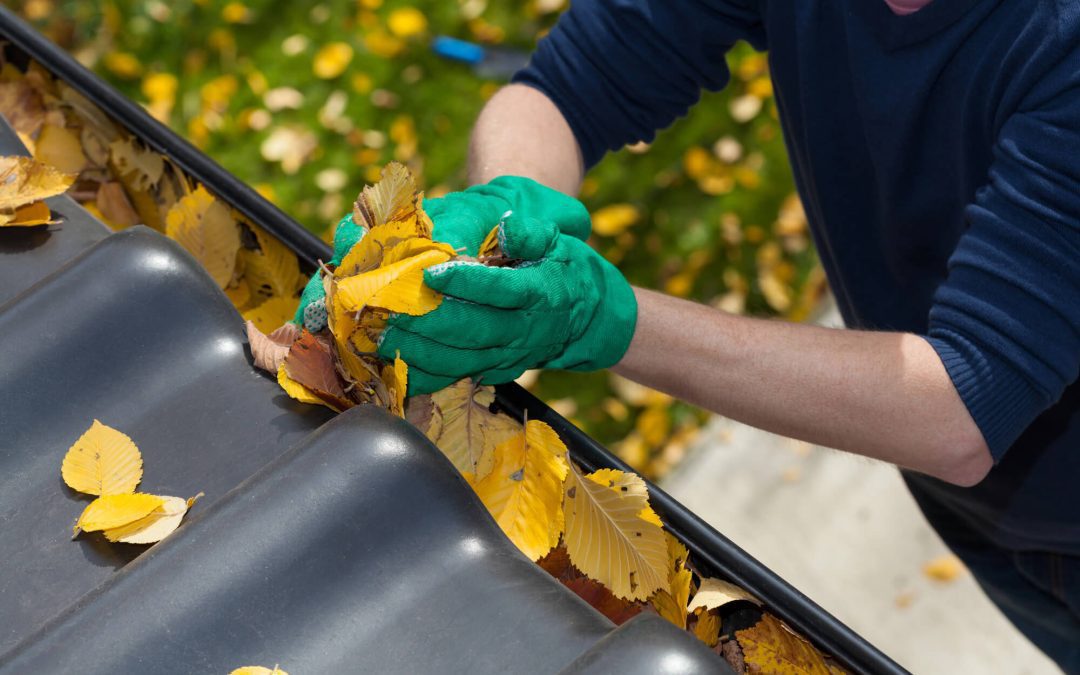 How to Clean Your Gutters Safely